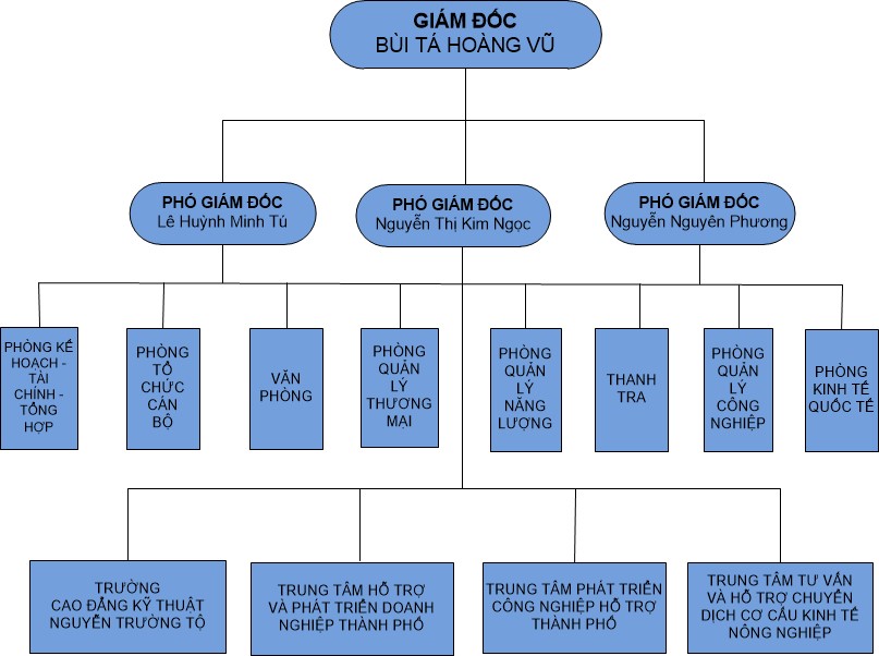 Sơ đồ tổ chức